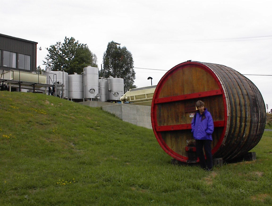 timber legitimates stainless steel